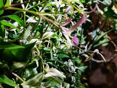 -HOME餐厅粤菜 融合菜