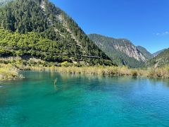 -九寨沟-树正沟