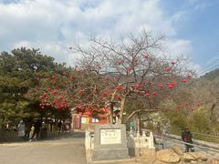 -潭柘寺景区