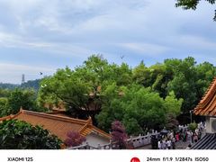 -深圳市中科院仙湖植物园