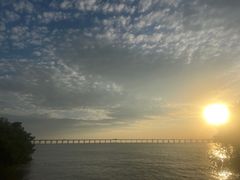 -宝安西湾红树林湿地公园