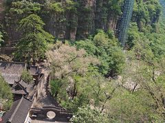 -藏山旅游风景区