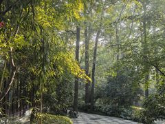 -南京东郊国宾馆