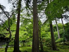 -三千院