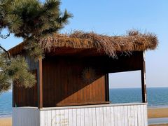 -巧克力渔家.小船海鲜家常菜(万平口店)