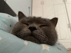 -北京恒爱动物医院(清景园分院)