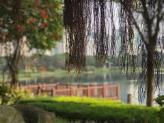 -南宁南湖公园