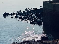 -北岐滩涂