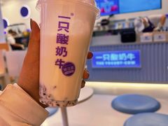 -一只酸奶牛(兰州中心店)
