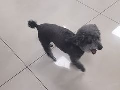 -北京观赏动物医院·24小时大型综合·猫专科·异宠专科