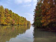 -上海海湾国家森林公园