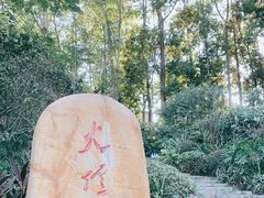 -火炉山森林公园