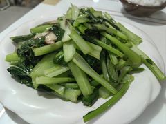 -煲来饱去冷水鱼