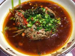 -易老妈蹄花.特色川菜(人民公园总店)