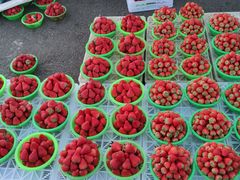 -三旗百汇商品城