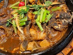 -老板恋上鱼(恒隆广场店)