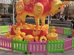 -南宫五洲植物乐园