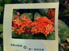 -广州花园酒店