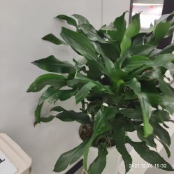 -悟空祛痘·专业祛痘机构