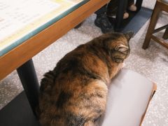 -玲玲饮食店