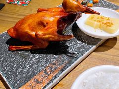 红烧乳鸽-大鸽饭(岗顶店)