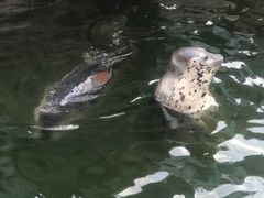 -华夏文旅海洋公园