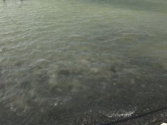 -盐湖景区