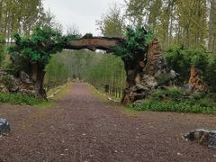 -合肥滨湖国家森林公园