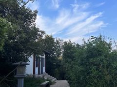-树山生态村