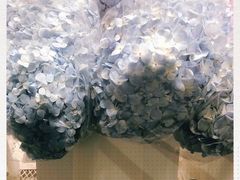 -盒马X会员店(上海森兰商都店)