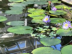 -国家植物园南园