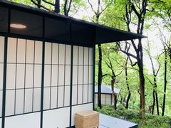 -中国茶叶博物馆(双峰馆区)