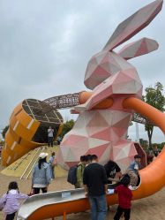 -季高兔窝窝亲子园(上海薰衣草公园店)