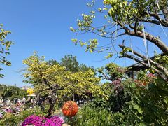 -一品烧农庄·佛山本地特色菜