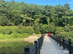 -九龙潭景区