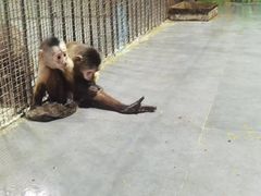 -西安秦岭野生动物园