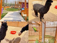 -郑州方特梦幻王国