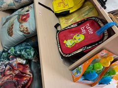 -广东惠东海龟国家级自然保护区