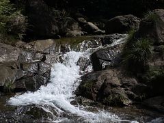 -大奇山国家森林公园
