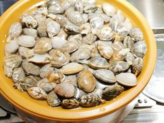 -龍歌自助小火锅(城阳万象汇店)