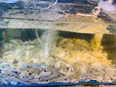 -87号烧烤海鲜·大排档(金沙滩店)