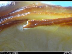 -苹果花园(龙漕路店)