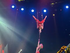 -珠海横琴长隆《卡卡虎奇遇记》