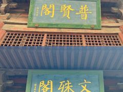 -善化寺