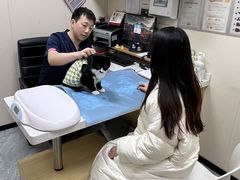 -美联众合爱康动物医院•复杂内科•肿瘤科•牙科•腔镜诊疗中心