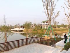 -王借岗森林公园