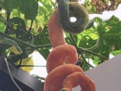 -中国天府农业博览园