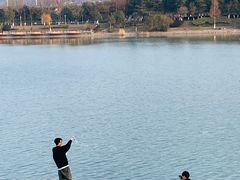 -羊山湖公园