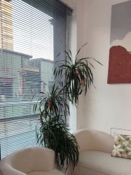 -MEMO Skin漫溯皮肤管理