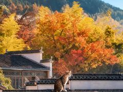 -塔川景区